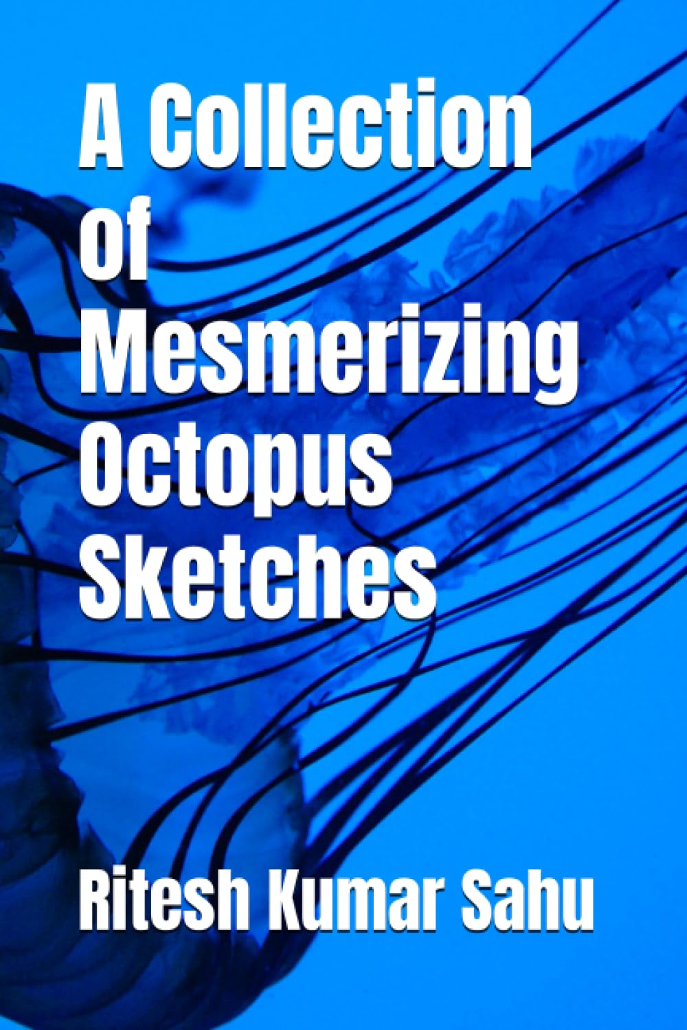 A Collection of Mesmerizing Octopus Sketches (Independently published)
A Collection of Mesmerizing Octopus Sketches (Independently published)