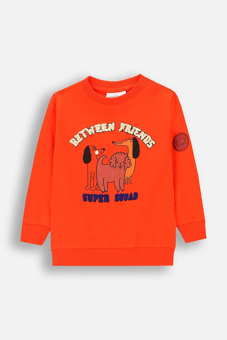 Футболка с длинными рукавами Coccodrillo, красный
Футболка с длинными рукавами Coccodrillo, красный