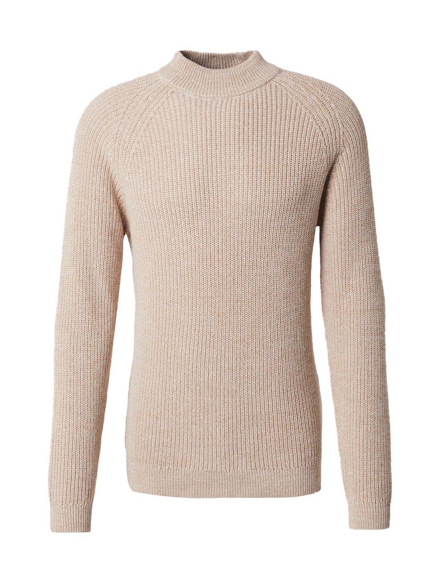 Водолазка Only & Sons Sweater ONSFELIP, бежевый
Водолазка Only & Sons Sweater ONSFELIP, бежевый