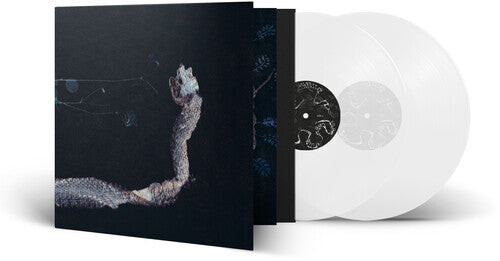 Виниловая пластинка Tenhi: Maaaet
Виниловая пластинка Tenhi: Maaaet