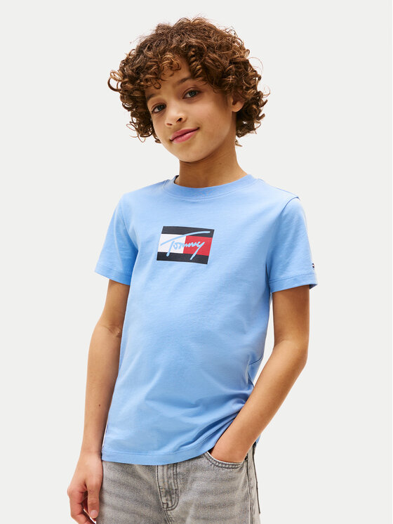 Футболка regular fit Script Flag KB0KB09725 Tommy Hilfiger, голубой 
Футболка regular fit Script Flag KB0KB09725 Tommy Hilfiger, голубой