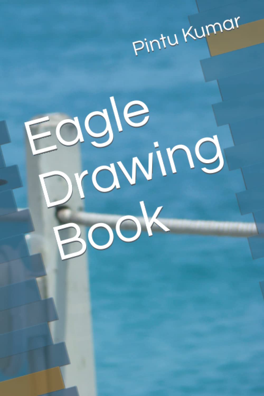 Eagle Drawing Book (Independently published)
Eagle Drawing Book (Independently published)