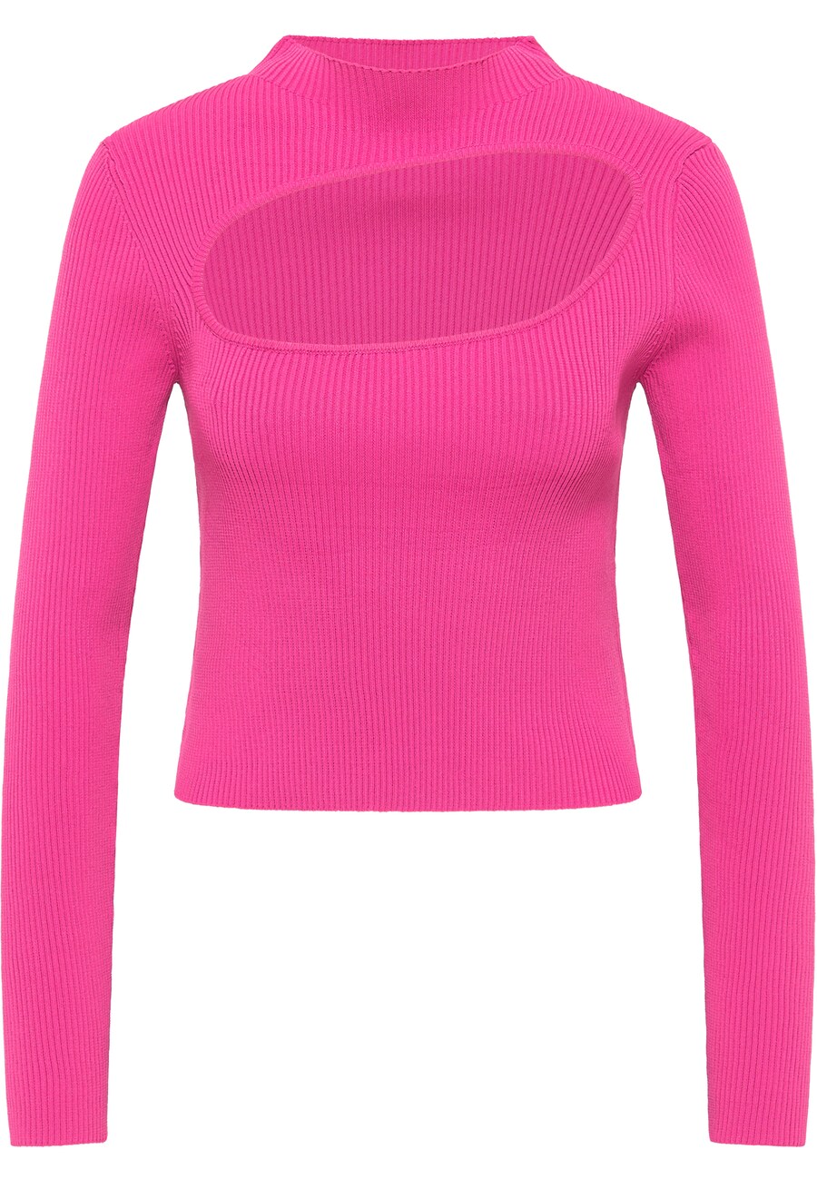 Свитер с капюшоном на молнии myMo ATHLSR Athletic Sweater, цвет neon pink
Свитер с капюшоном на молнии myMo ATHLSR Athletic Sweater, цвет neon pink