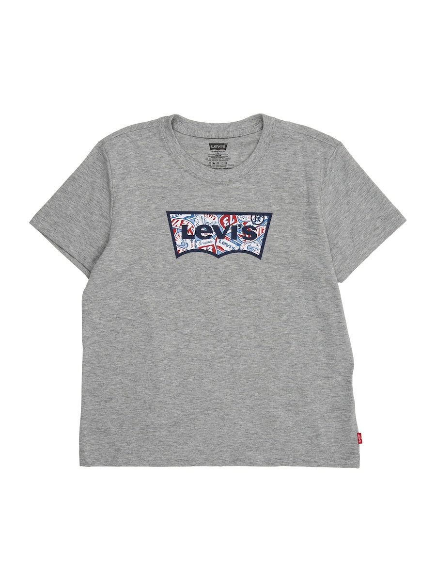Рубашка Levi's Kids ON THE ROAD, серый
Рубашка Levi's Kids ON THE ROAD, серый