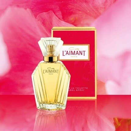 Женская туалетная вода L'aimant Perfume De Toilette for Women 15ml
Женская туалетная вода L'aimant Perfume De Toilette for Women 15ml