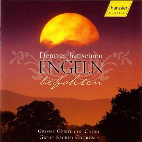CD диск Denn ER Hat Seinen Engeln Befohlen / Various: Denn Er Hat Seinen Engeln Befohlen / Various
CD диск Denn ER Hat Seinen Engeln Befohlen / Various: Denn Er Hat Seinen Engeln Befohlen / Various