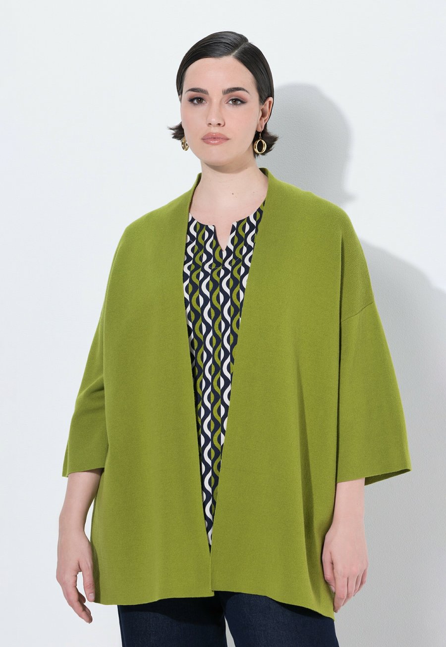 Кардиган Ulla Popken 3/4 SLEEVE, Grass Green/Green
Кардиган Ulla Popken 3/4 SLEEVE, Grass Green/Green