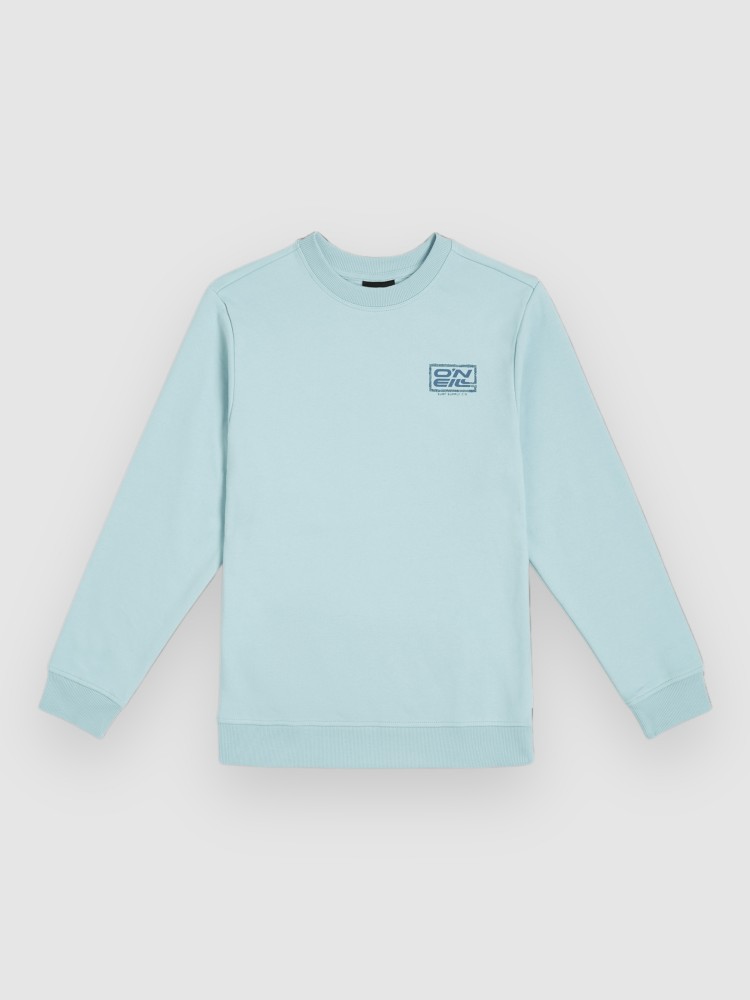 Свитер O'Neill Logo Kids Sweater, morning glory
Свитер O'Neill Logo Kids Sweater, morning glory