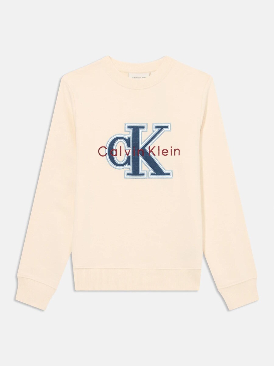 Толстовка Calvin Klein FESTIVE MONO, бежевый
Толстовка Calvin Klein FESTIVE MONO, бежевый