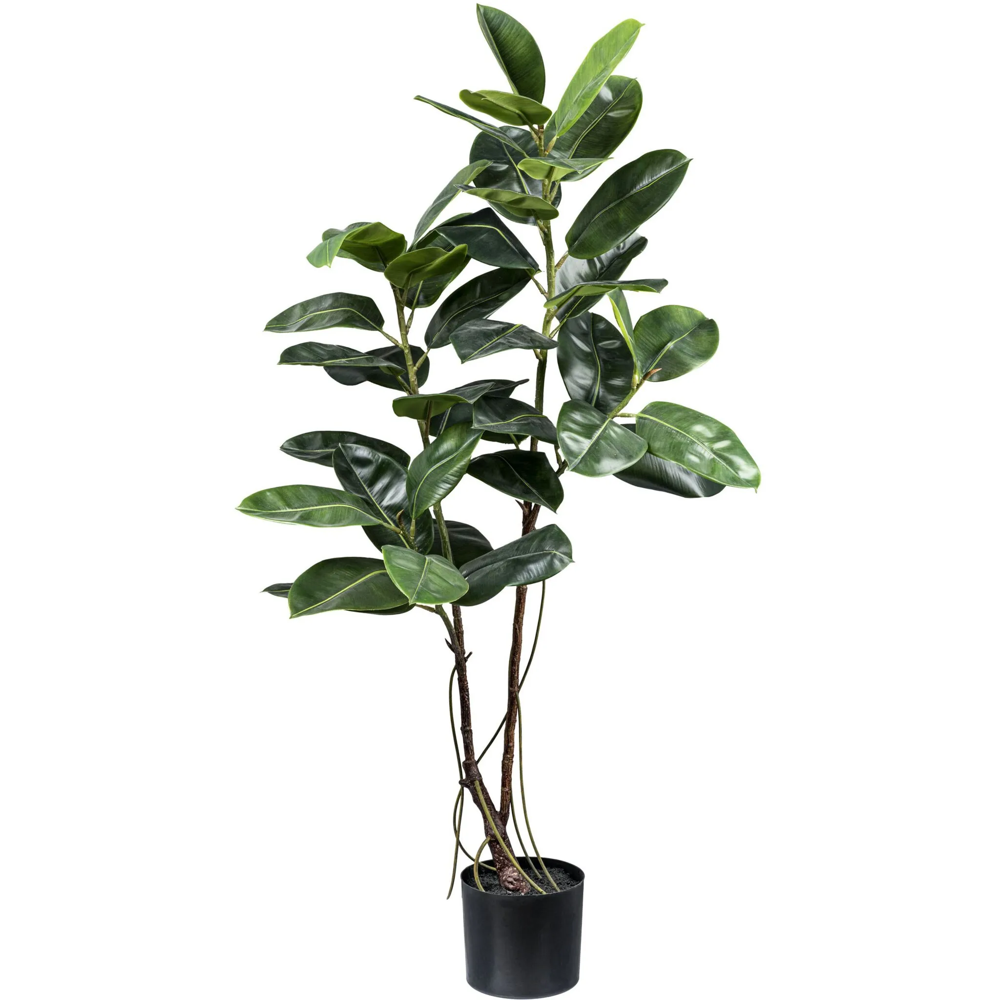 Креативное зеленое искусственное дерево «Ficus elastica» с воздушными корнями Creativ Green, зеленый
Креативное зеленое искусственное дерево «Ficus elastica» с воздушными корнями Creativ Green, зеленый
