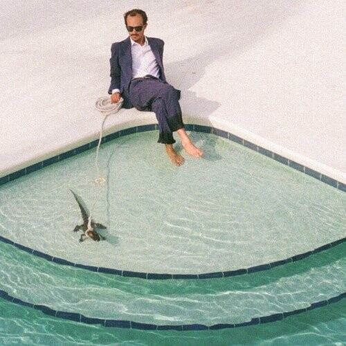 Виниловая пластинка Pwnt - Days In The Summer 
Виниловая пластинка Pwnt - Days In The Summer