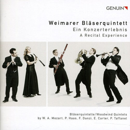 CD диск Mozart / Haas / Danzi / Weimarer Blaserquintett: Recital Experience
CD диск Mozart / Haas / Danzi / Weimarer Blaserquintett: Recital Experience