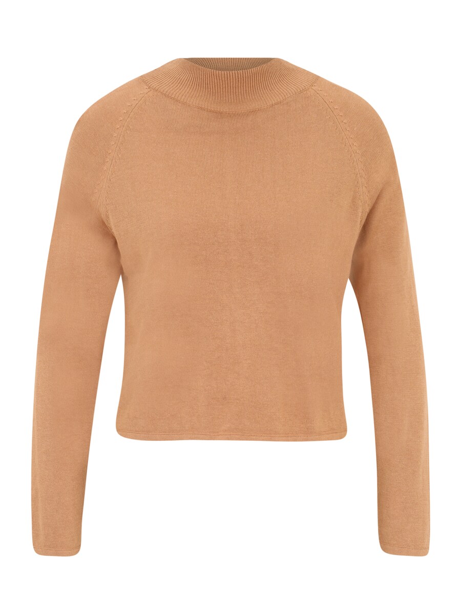 Свитер Pieces Petite ADINNA, светло-коричневый
Свитер Pieces Petite ADINNA, светло-коричневый