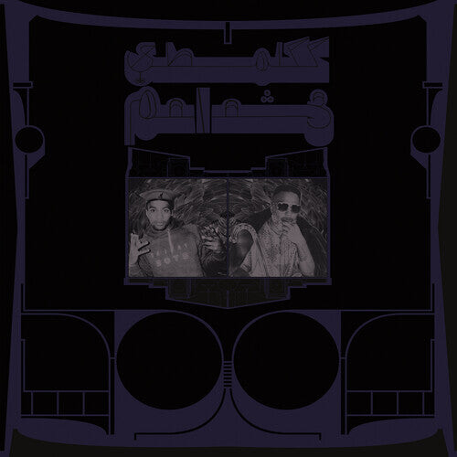 Виниловая пластинка Shabazz Palaces: Exotic Birds of Prey
Виниловая пластинка Shabazz Palaces: Exotic Birds of Prey