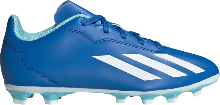 Кроссовки X Crazyfast.4 FG J 'Marinerush Pack', синий
Кроссовки X Crazyfast.4 FG J 'Marinerush Pack', синий