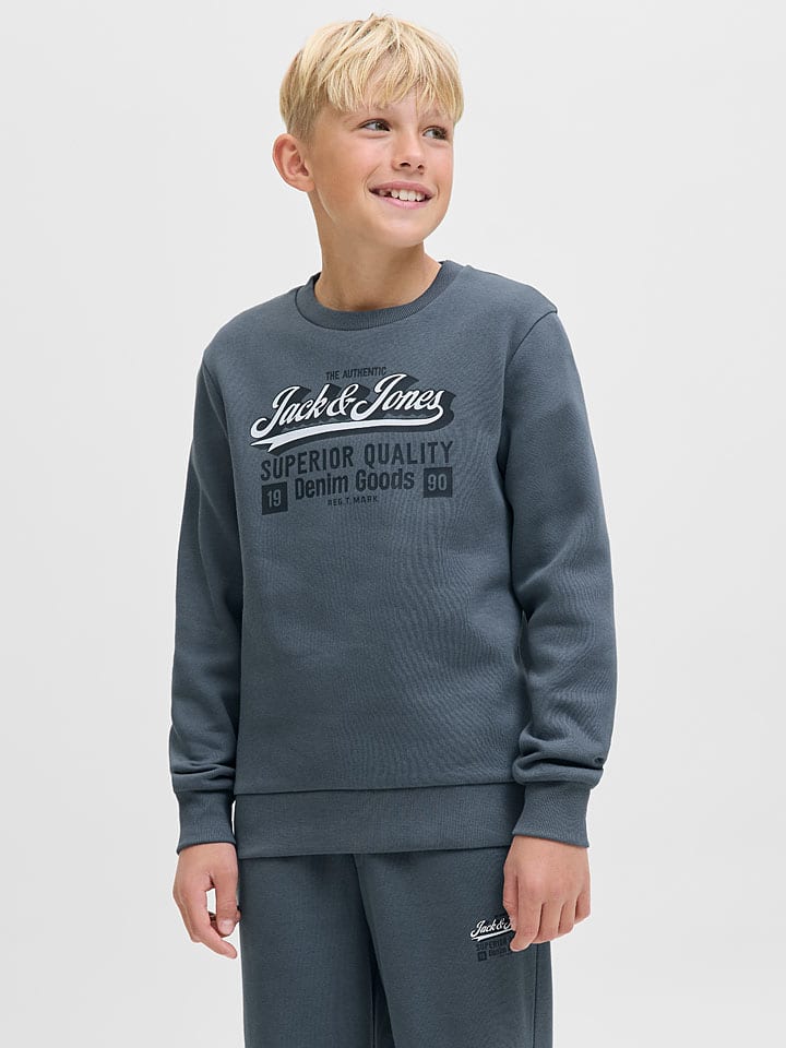 JACK & JONES Junior Толстовка с логотипом сине-серого цвета
JACK & JONES Junior Толстовка с логотипом сине-серого цвета