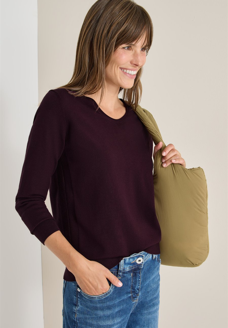 Джемпер Cecil KUSCHELIGER, Rot/Light Red
Джемпер Cecil KUSCHELIGER, Rot/Light Red