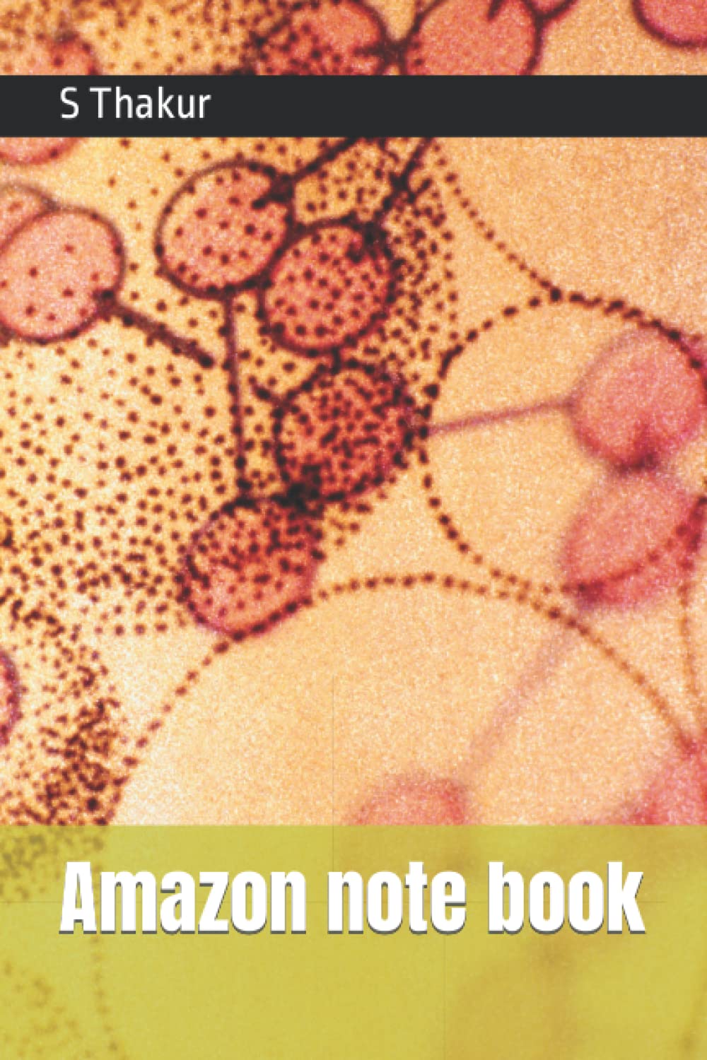 Amazon note book (Independently published)
Amazon note book (Independently published)