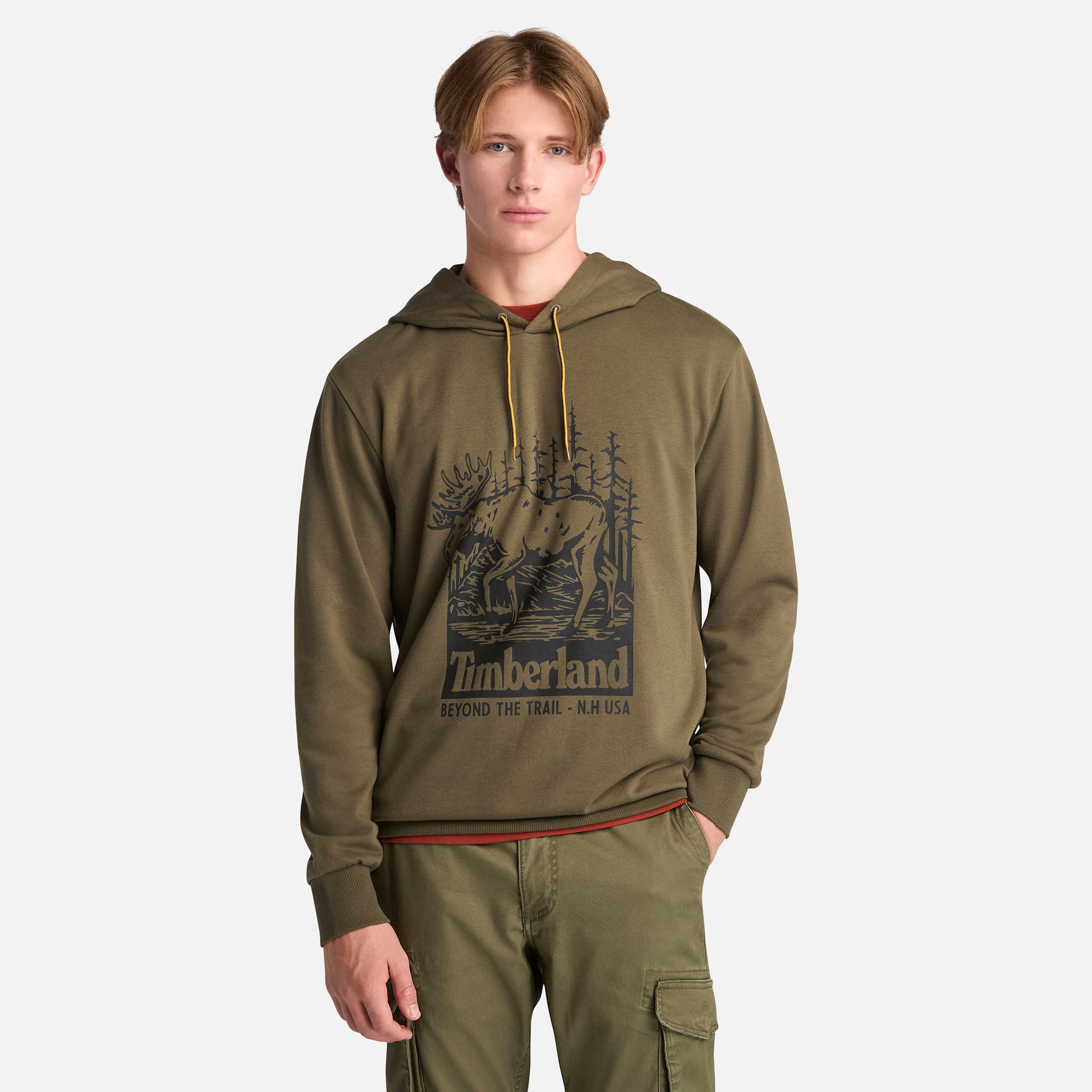 Мужская толстовка с графическим принтом и петлевой спиной Timberland, цвет leaf green
Мужская толстовка с графическим принтом и петлевой спиной Timberland, цвет leaf green