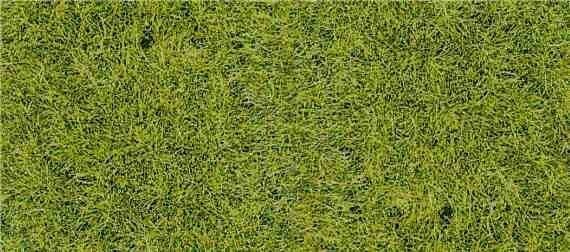 Коврик из дикой травы, лесная подстилка, Heki 1576 
Коврик из дикой травы, лесная подстилка, Heki 1576