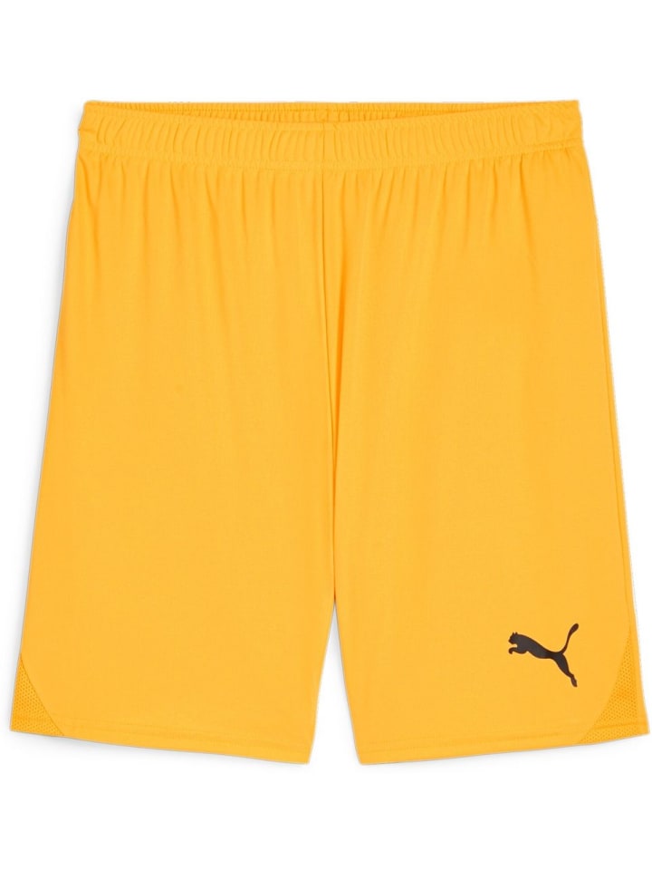 Спортивные шорты TeamGoal Shorts оранжевого цвета Puma
Спортивные шорты TeamGoal Shorts оранжевого цвета Puma