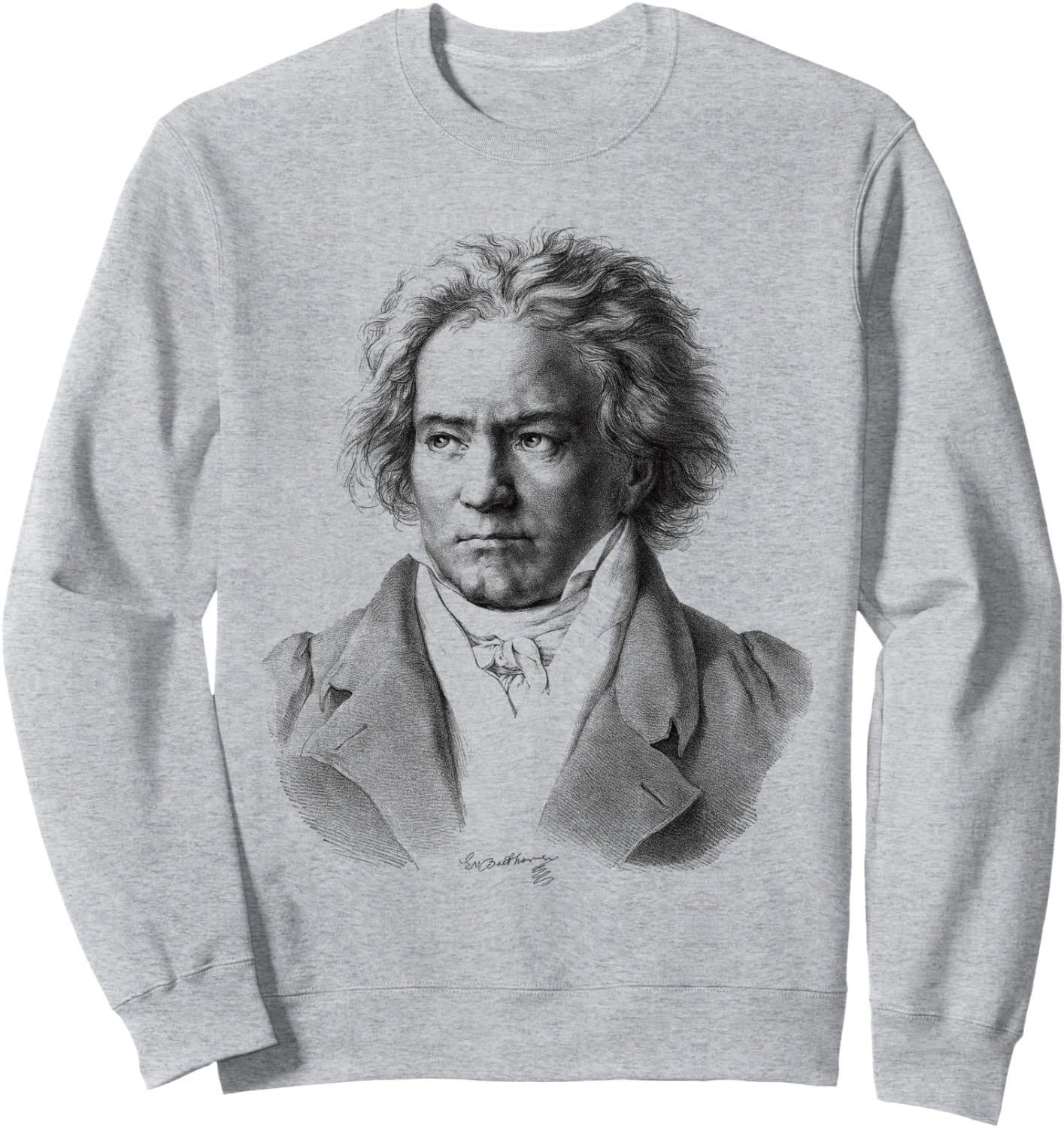 Толстовка с изображением Бетховена и Людвига ван Бетховена Beethoven, серый
Толстовка с изображением Бетховена и Людвига ван Бетховена Beethoven, серый