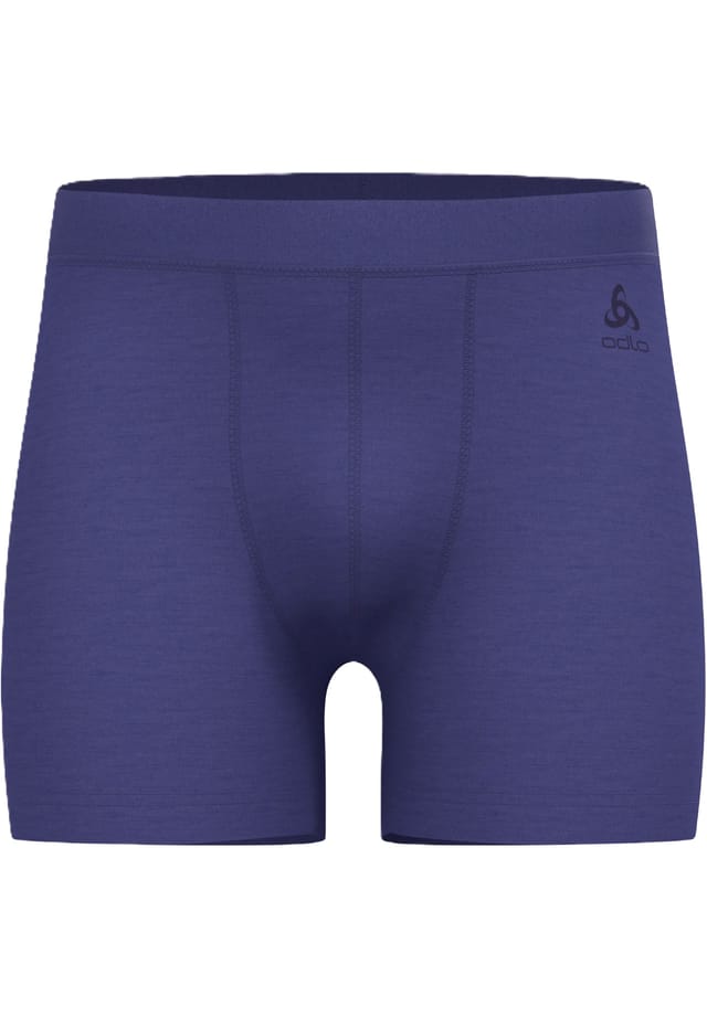 Длинные шерстяные брюки с терморегуляцией Odlo, синий
Длинные шерстяные брюки с терморегуляцией Odlo, синий