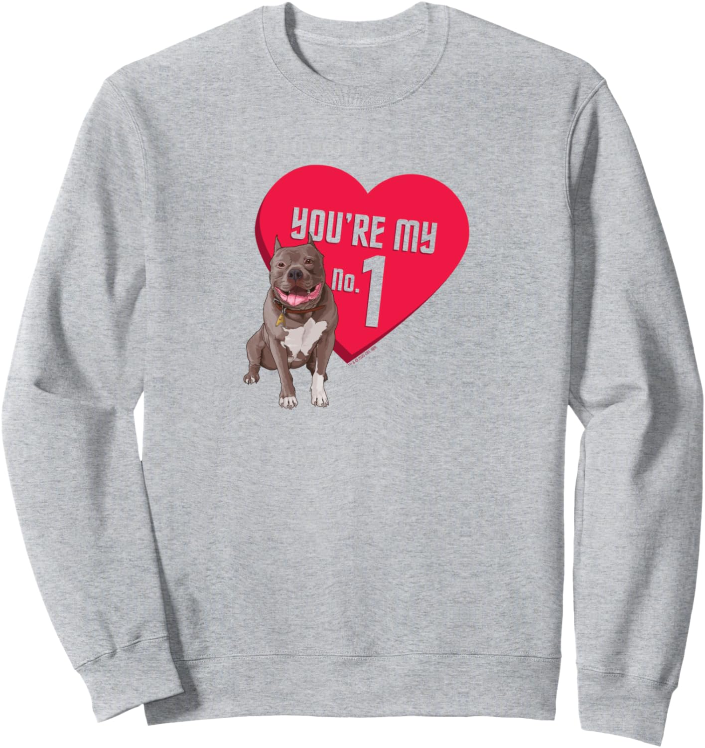 Звездный путь: Пикард. Ты моя толстовка номер 1 Star Trek, серый
Звездный путь: Пикард. Ты моя толстовка номер 1 Star Trek, серый