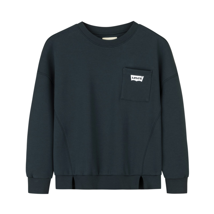 Детский свитшот Pre-school Levis, темно-зеленый
Детский свитшот Pre-school Levis, темно-зеленый