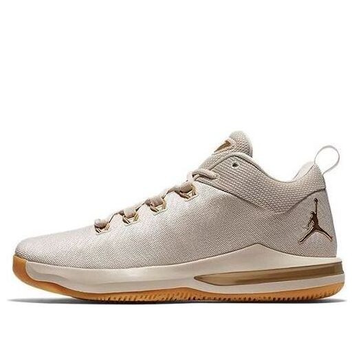 Кроссовки cp3.x ae Air Jordan, коричневый
Кроссовки cp3.x ae Air Jordan, коричневый