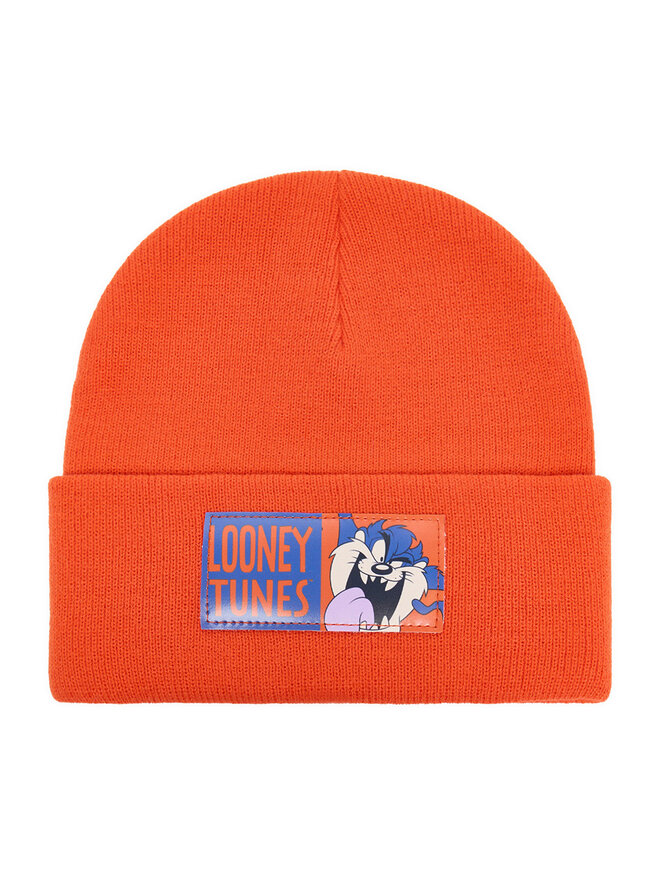 Шапка Looney Tunes CEO-ACCCS-AW25-226WBLT, оранжевый
Шапка Looney Tunes CEO-ACCCS-AW25-226WBLT, оранжевый
