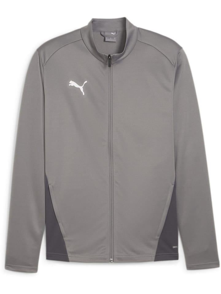 Тренировочная куртка TeamGoal Training Jacket серого цвета Puma
Тренировочная куртка TeamGoal Training Jacket серого цвета Puma