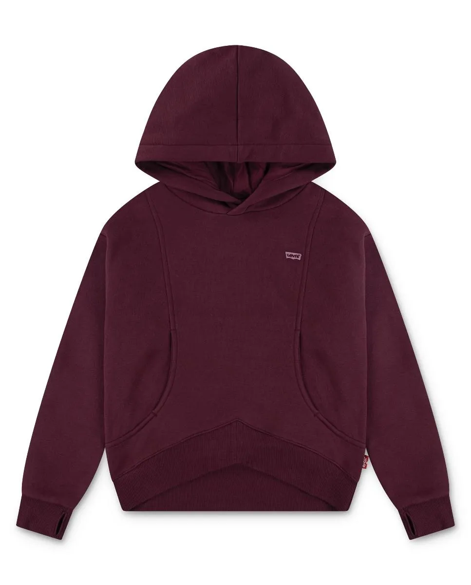 Толстовка с капюшоном и отверстиями для больших пальцев Batwing Patch для девочки Levi's, коричневый
Толстовка с капюшоном и отверстиями для больших пальцев Batwing Patch для девочки Levi's, коричневый