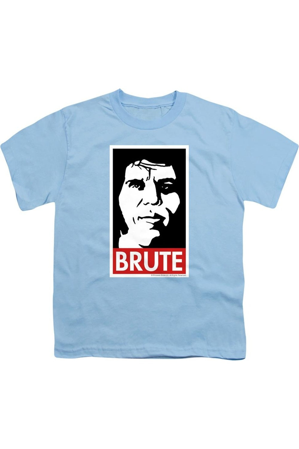 Футболка с коротким рукавом для детей "Принцесса-невеста: Громила" Gildan, светло-голубой
Футболка с коротким рукавом для детей "Принцесса-невеста: Громила" Gildan, светло-голубой