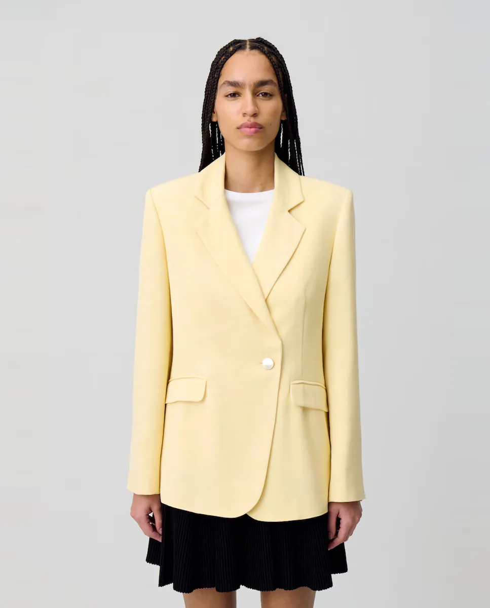 Женский пиджак с застежкой на пуговицы Claudie Pierlot, жёлтый
Женский пиджак с застежкой на пуговицы Claudie Pierlot, жёлтый