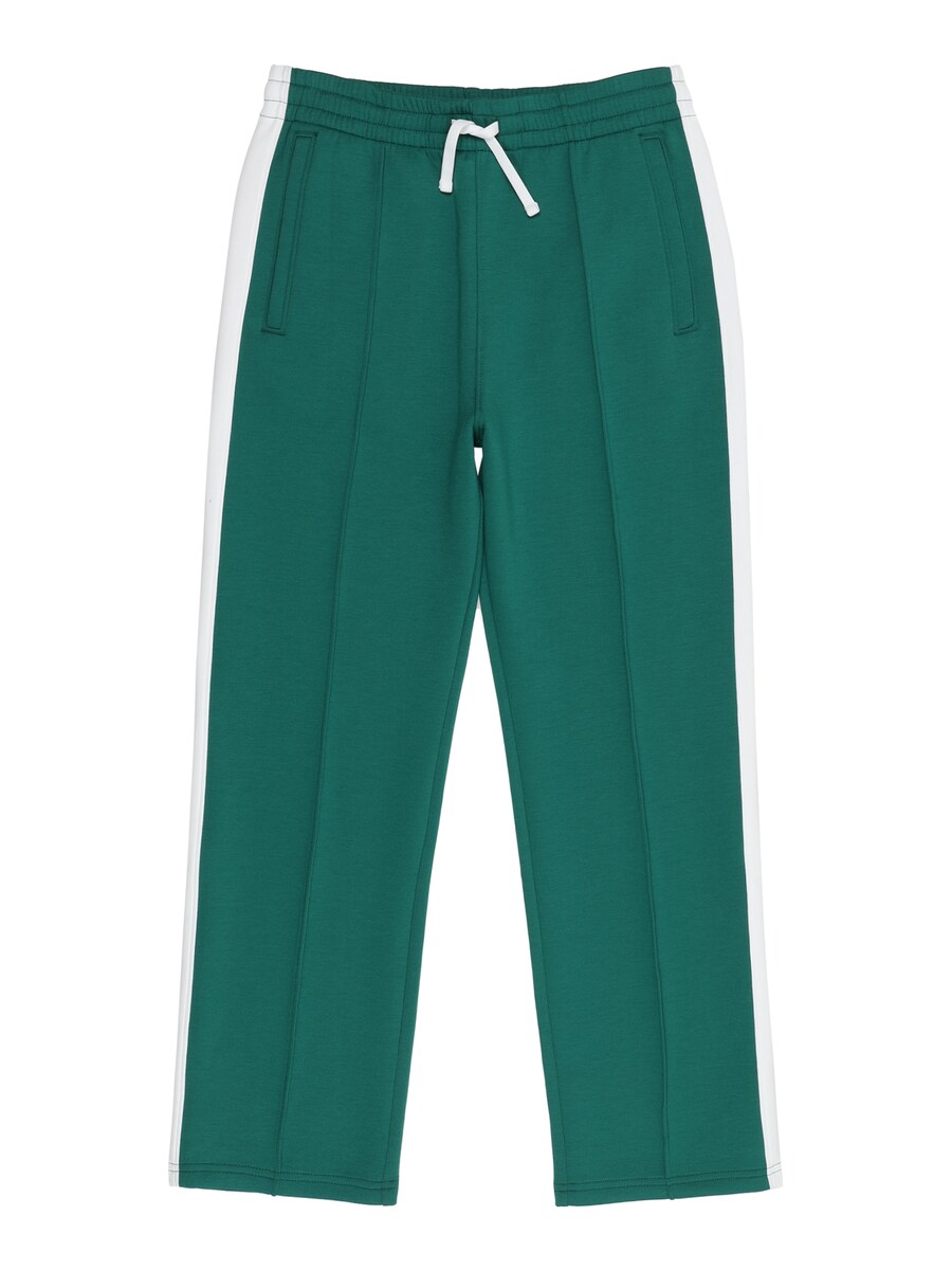 Обычные брюки Abercrombie & Fitch, изумрудный
Обычные брюки Abercrombie & Fitch, изумрудный