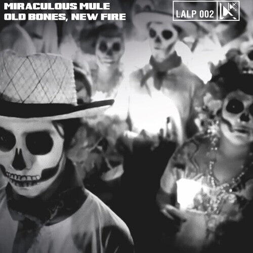 Виниловая пластинка Miraculous Mule - Old Bones New Fire 
Виниловая пластинка Miraculous Mule - Old Bones New Fire