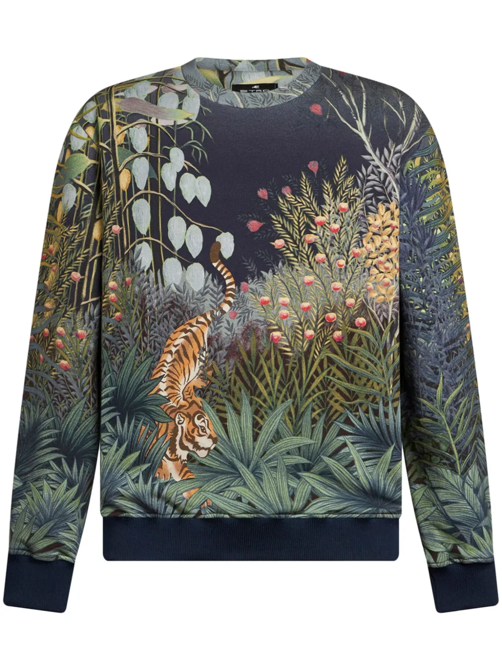 Толстовка с графичным принтом ETRO, синий 
Толстовка с графичным принтом ETRO, синий