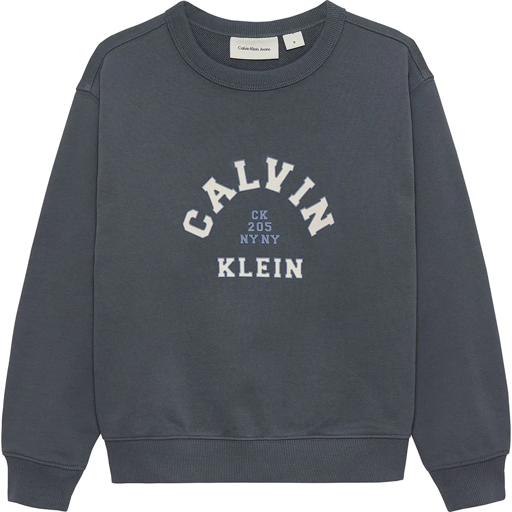 Толстовка Calvin Klein IB0IB02619, серый
Толстовка Calvin Klein IB0IB02619, серый