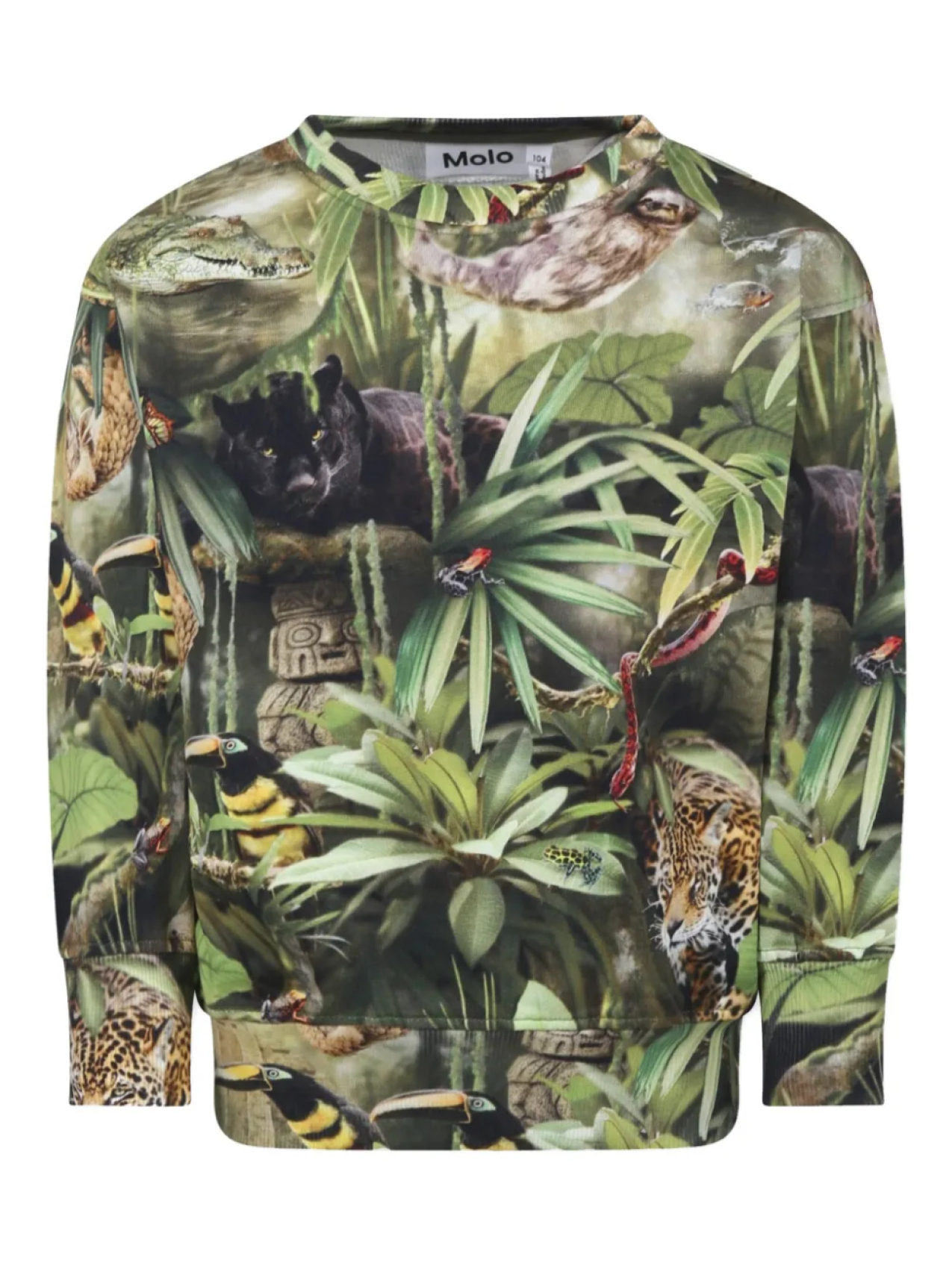 Толстовка Molo с принтом по всей поверхности, зеленый
Толстовка Molo с принтом по всей поверхности, зеленый