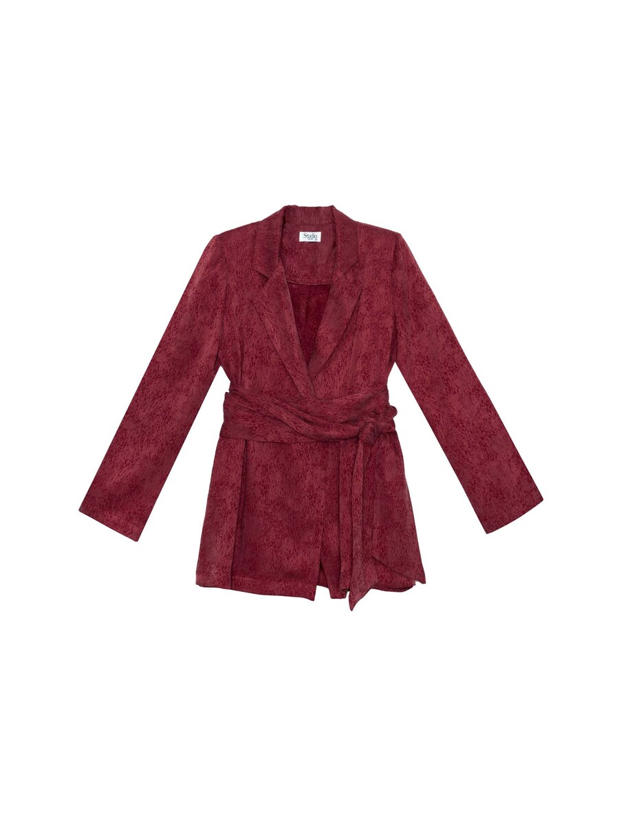 Блейзер THE-ARE, бордовый
Блейзер THE-ARE, бордовый