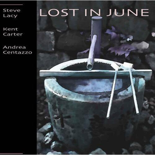 CD диск Lacy, Steve / Carter, Kent / Centazzo, Andrea: Lost in June
CD диск Lacy, Steve / Carter, Kent / Centazzo, Andrea: Lost in June