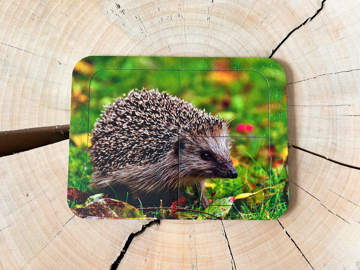 Ежик, деревянный пазл с четырьмя элементами, основа с подписью, первый пазл Inna marka 
Ежик, деревянный пазл с четырьмя элементами, основа с подписью, первый пазл Inna marka