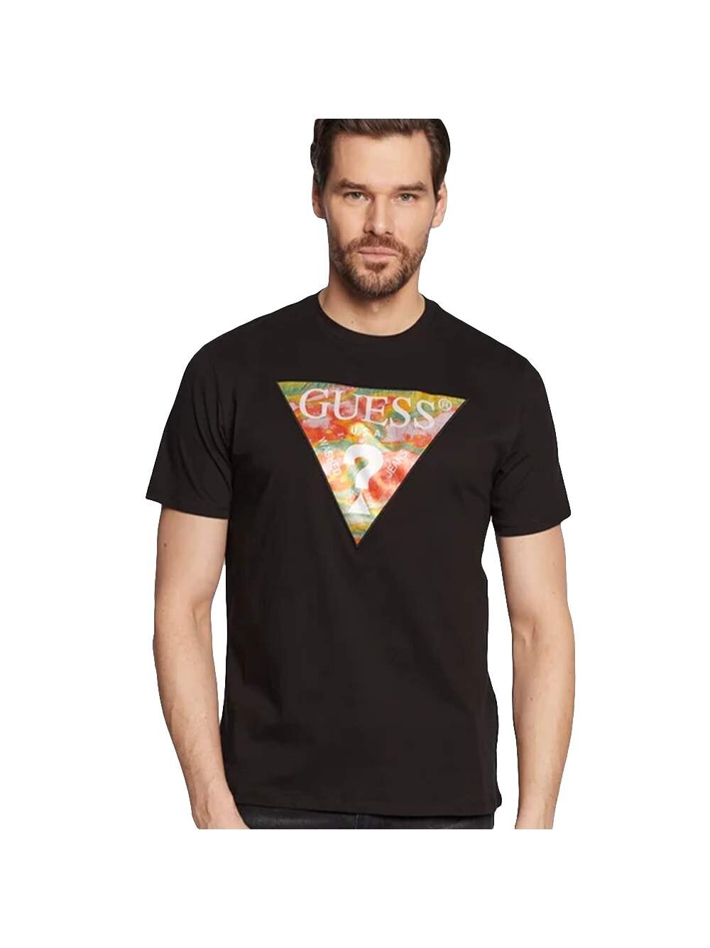 Футболка с логотипом и треугольными цветами Guess, черный
Футболка с логотипом и треугольными цветами Guess, черный