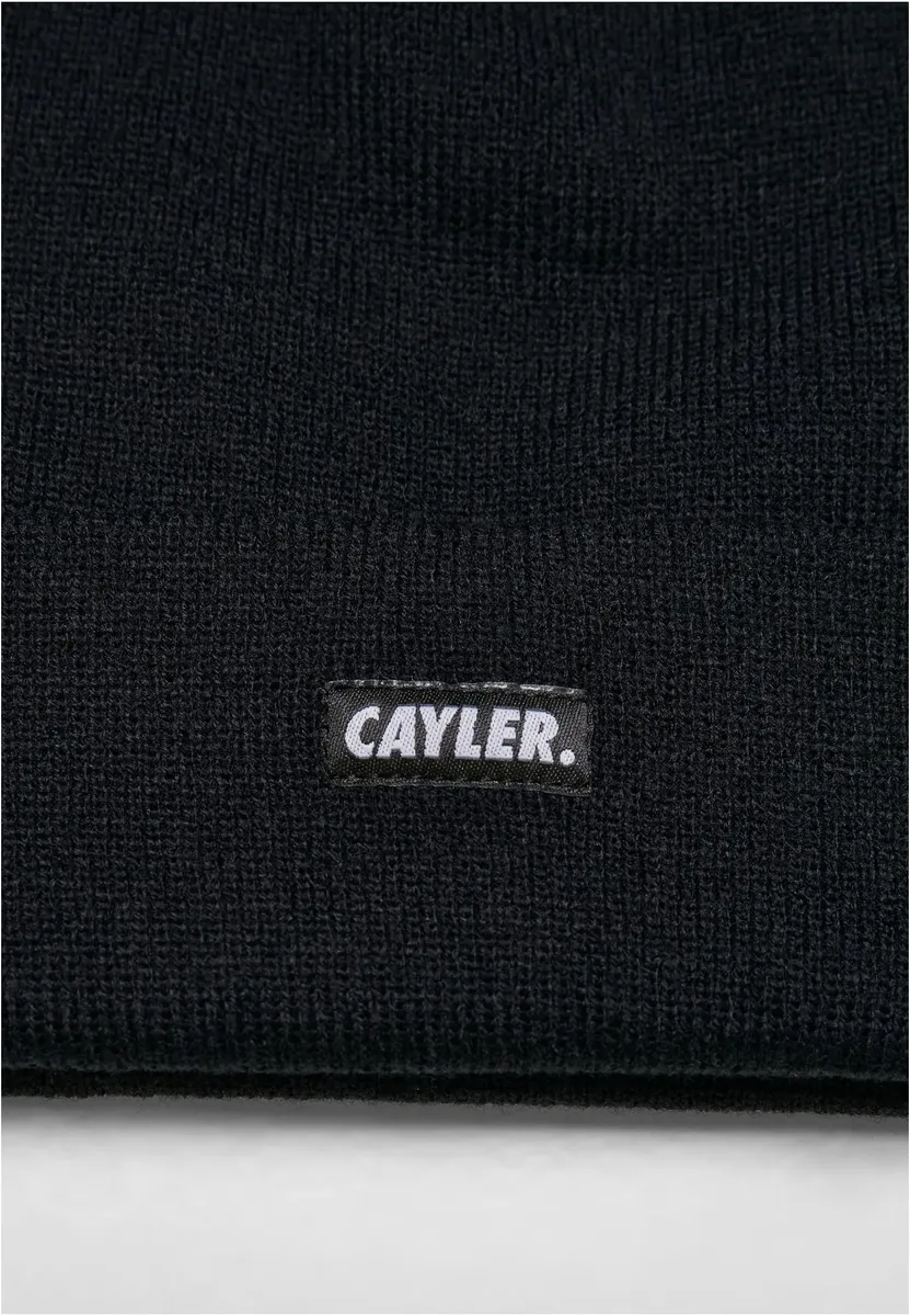 Шапка CAYLER & SONS " Cayler & Sons Accessories C&S Basic Beanie" (1 шт.), черный
Шапка CAYLER & SONS " Cayler & Sons Accessories C&S Basic Beanie" (1 шт.), черный