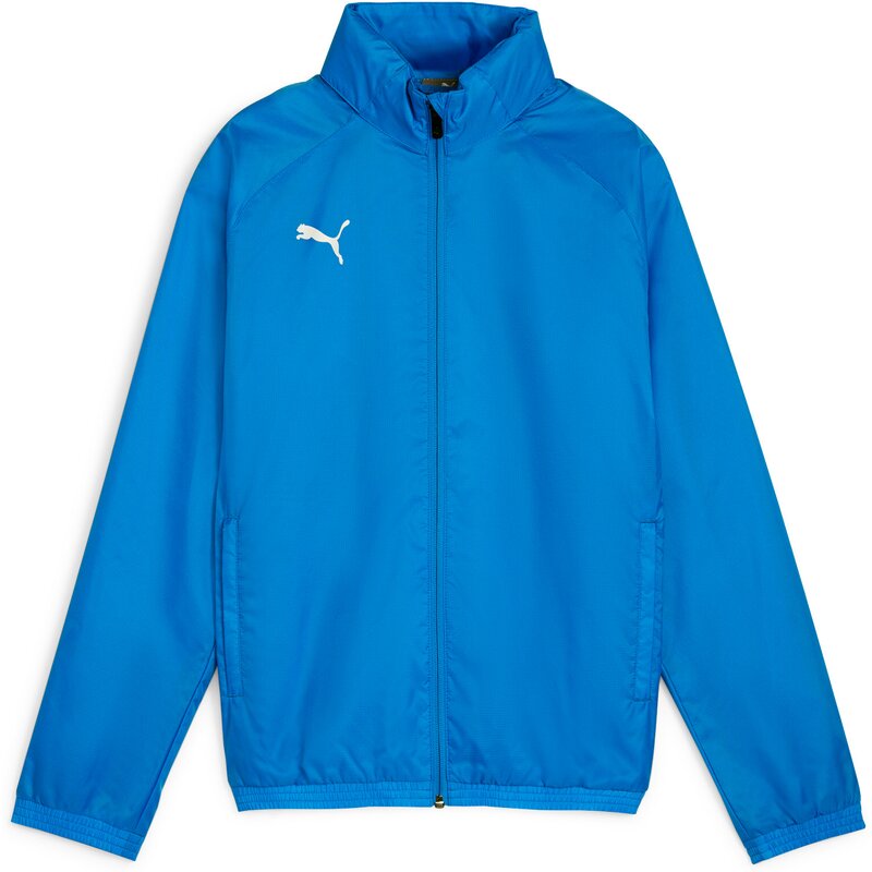 Всепогодная куртка Blouson TeamGoal Puma, белый
Всепогодная куртка Blouson TeamGoal Puma, белый