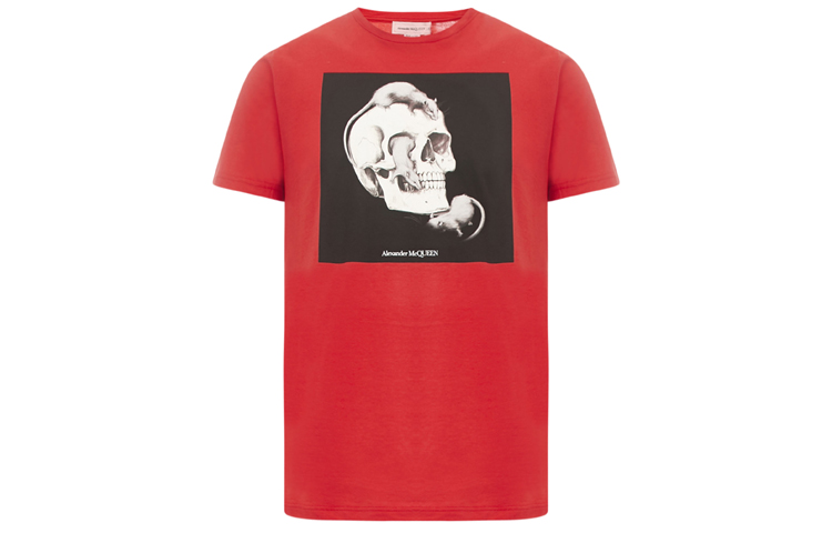 Футболка мужская Alexander McQueen
Футболка мужская Alexander McQueen