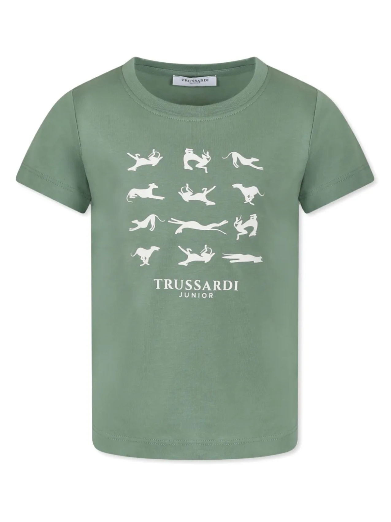 Футболка TRUSSARDI JUNIOR из хлопка, зеленый
Футболка TRUSSARDI JUNIOR из хлопка, зеленый