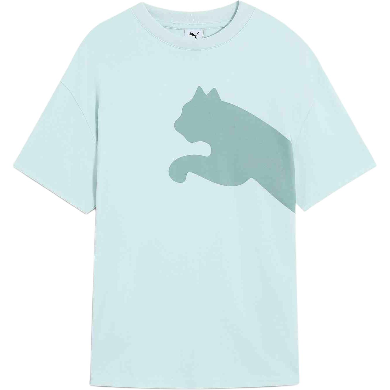 PUMA Футболка SS25 Unisex Ice Blue
PUMA Футболка SS25 Unisex Ice Blue