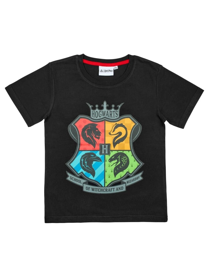 Футболка Harry Potter, черный
Футболка Harry Potter, черный
